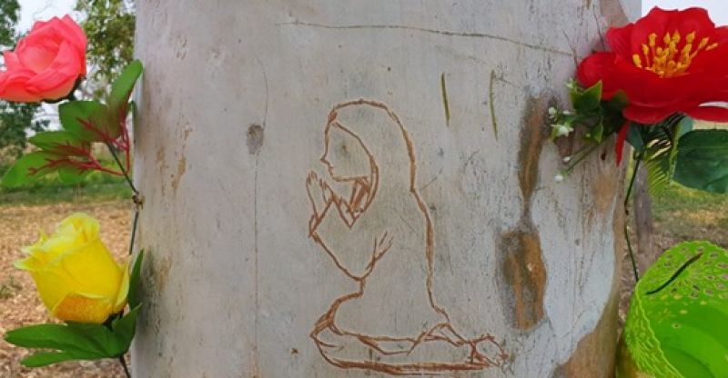 Figura de la Virgen aparece en un Ã¡rbol en Loreto