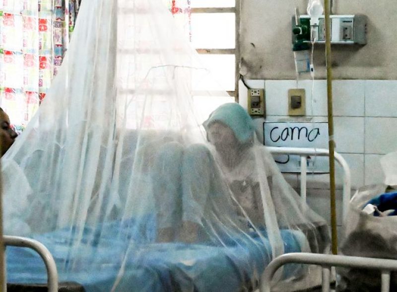 Confirman 4 muertes por dengue y mÃ¡s de mil casos