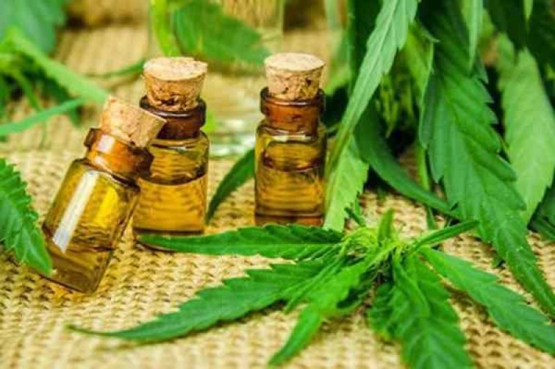 ComisiÃ³n en Diputados rechaza despenalizaciÃ³n del autocultivo del cannabis medicinal