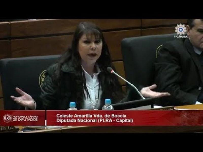 Diputada Celeste Amarilla rechazÃ³ la distritaciÃ³n de Chiriguelo