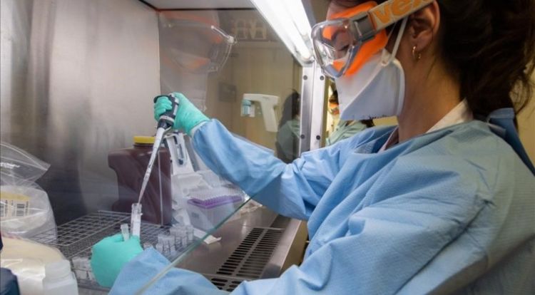 Coronavirus: Cuatro nuevos casos se confirman