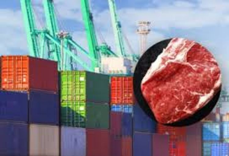 Paraguay exportó cerca de 165.000 toneladas de carne bovina en primer semestre del 2022